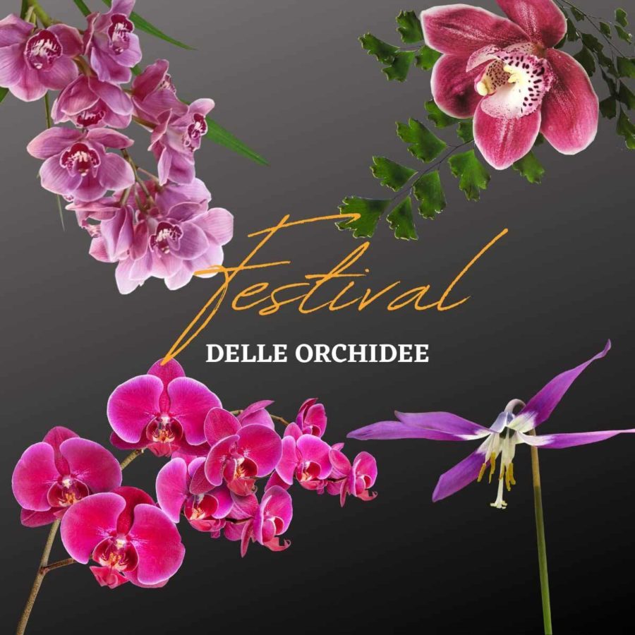 Un festival dedicato alle orchidee