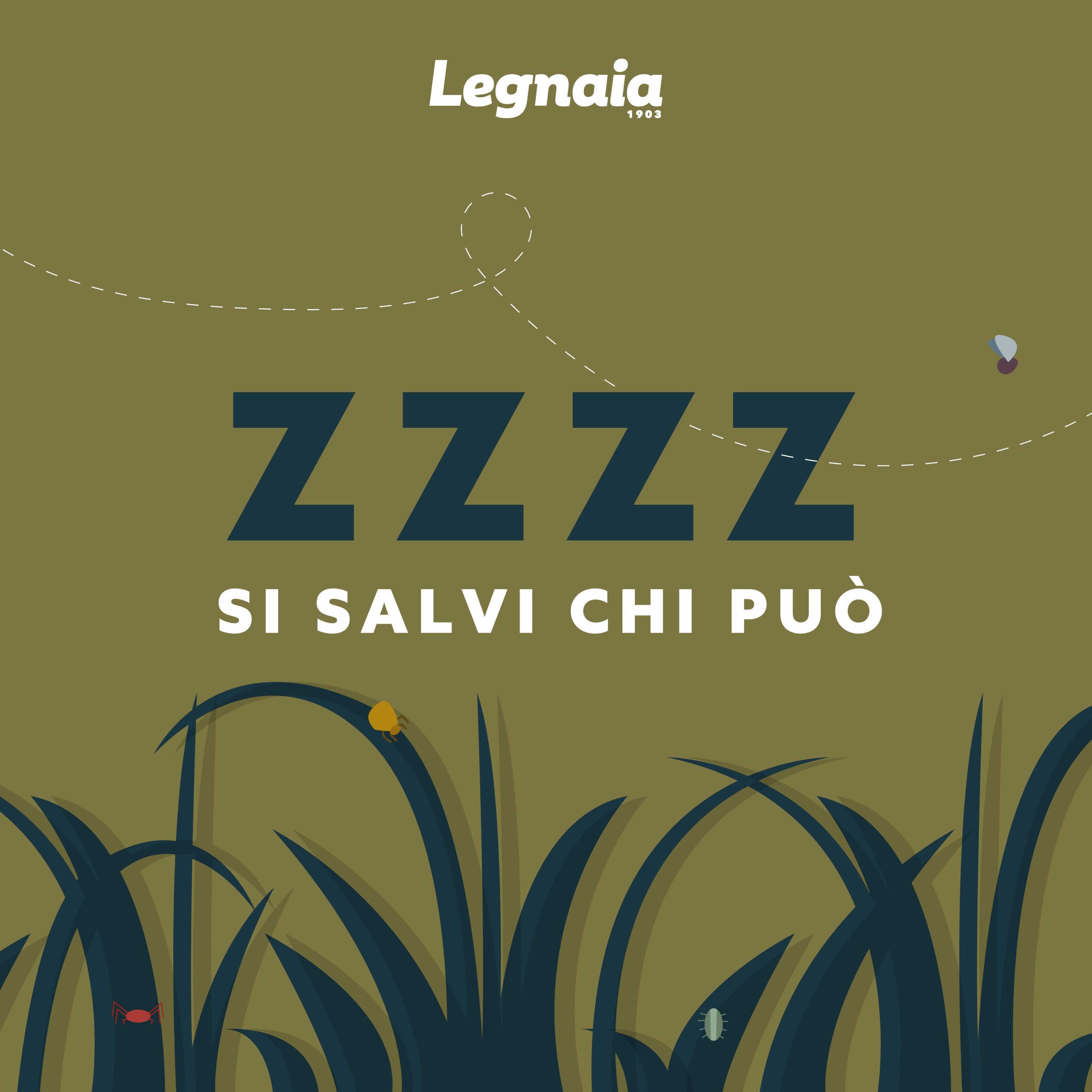 Pulci e zecche in giardino: come proteggere i nostri pet