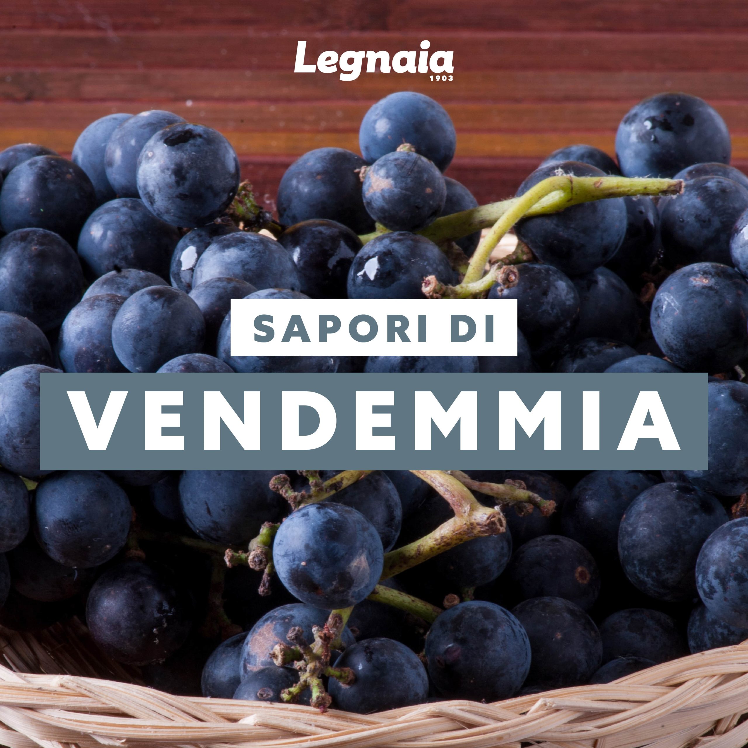 Sapori di vendemmia: la schiacciata con l’uva