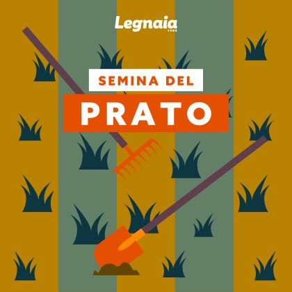 semina del prato